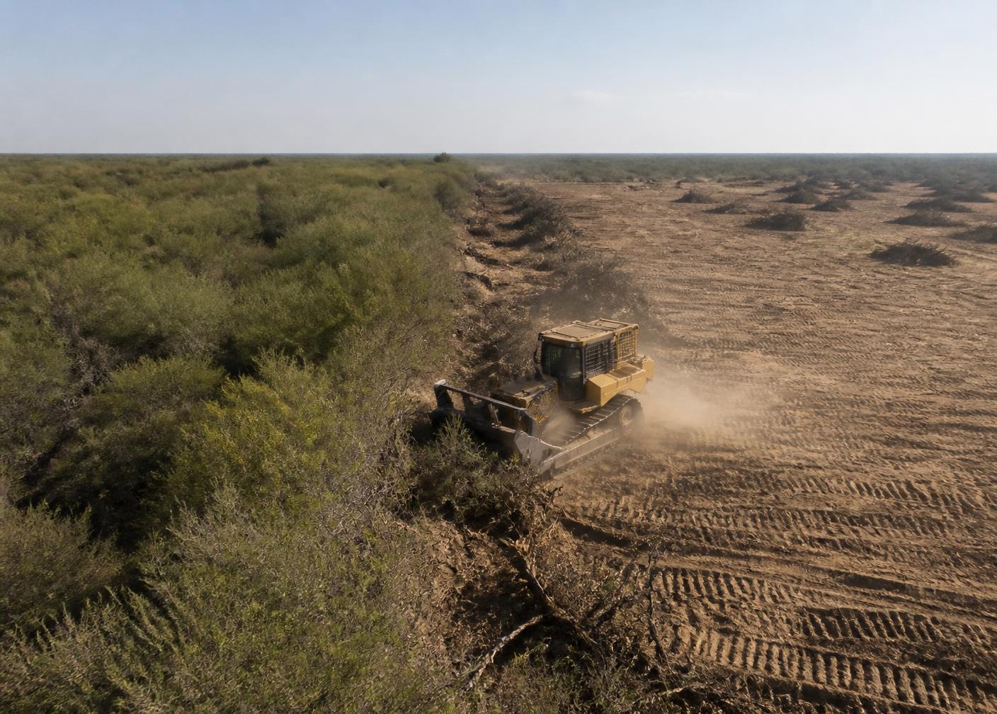 Land Clearing & Brush Removal in Edinburg, TX